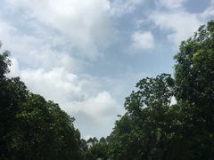 -棕榈泉国际高尔夫学院