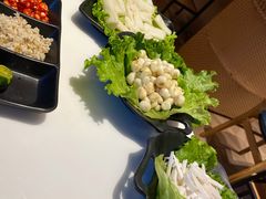 -东椰·海南椰子鸡火锅(朝阳门店)