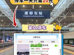 -成都东站-停车场