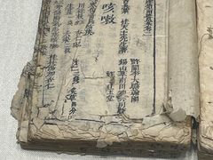 -广州神农草堂中医药博物馆