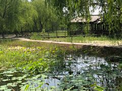 -杨柳青庄园