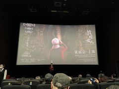 -SFC上影影城(港汇永华IMAX激光店)