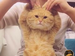 -漳州宾馆威尼斯西餐厅(胜利西路店)