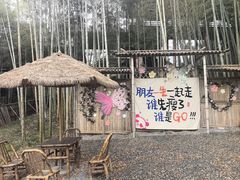 -大唐贡茶院