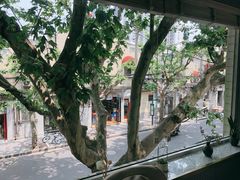 -蝶舍·MAISON PAPILLON