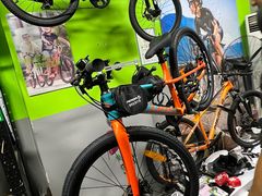 -道路口单车爱瓦士dahon大行