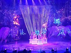 -广州长隆国际大马戏