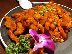 -前海沿·青岛菜(李沧万达店)