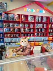 -Block Park 租乐高(天虹店)