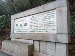 -岳麓山风景名胜区