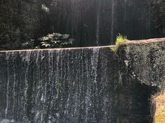 -千岛湖东南湖区