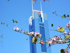 -天河体育中心