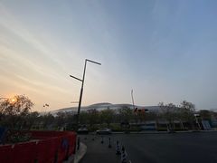 -招商蛇口邮轮母港(观光客运)