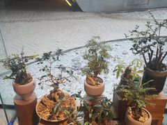 店内环境-方所(华润万象城店)
