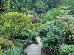 -深圳仙湖植物园