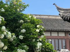 -常熟方塔园