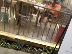 -醉月城西昌火盆烧烤(天府店)