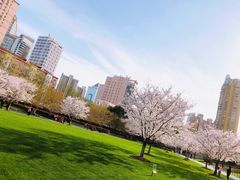 景点-静安雕塑公园