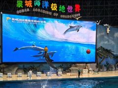 -泉城欧乐堡海洋极地世界