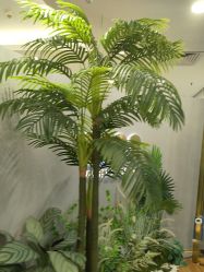 -八佰伴8008星级形象店