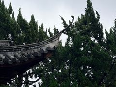 -秋霞圃
