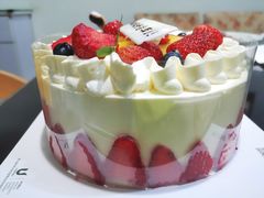 -维尔纳斯·生日蛋糕动物奶油冰淇淋蛋糕(人大店)