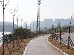 -凤岗南门山森林公园