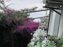 -怡得观滇餐厅·地道昆明菜·1996(海埂大坝店)