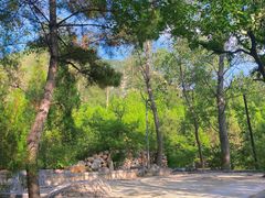 -禅宗少林·音乐大典