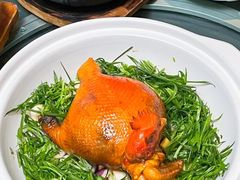 -金龙·打边炉(南京西路店)