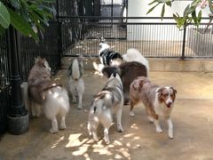 -TrueLove @ Neverland (Husky Cafe)