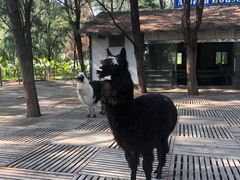 -六鳌翡翠湾滨海度假景区