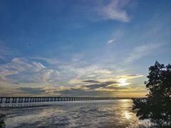 -宝安西湾红树林湿地公园