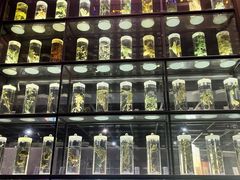 -广东中医药博物馆