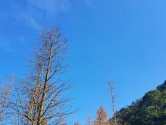 -广州市石门国家森林公园