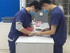 -福州肆爪动物医院