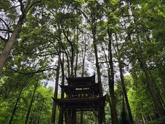 -青城山