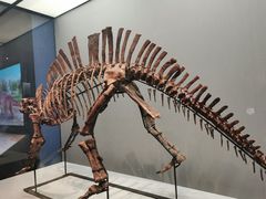 -湖南省地质博物馆