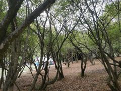 -昆明市金殿名胜区