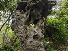 -绮园景区