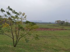 -盘龙城国家考古遗址公园