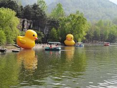 -西安秦岭野生动物园