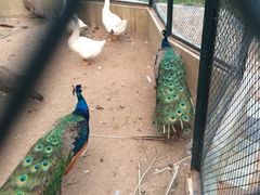 iphone_upload_pic-月亮河温泉度假酒店