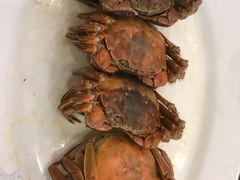 -岭南海晏楼(东晓南店)