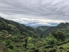 -杨家堂村