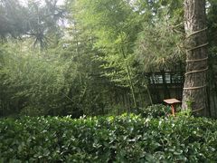 -威海天沐温泉度假区