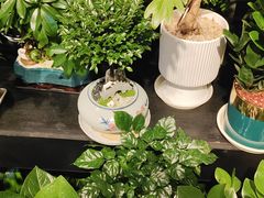 -怡花宜木鲜花店(朝阳路店)