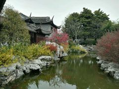 -梅园