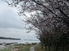 -长广溪湿地公园