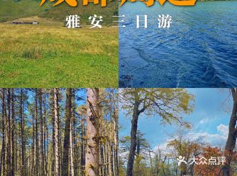 成都遛娃｜草甸、林海、雪山成都周边三日游